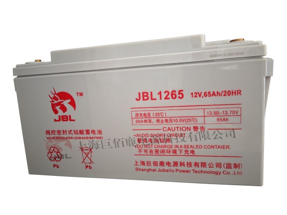 巨佰鹿铅酸蓄电池 6-GFM-65免维护UPS电池